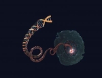 dna