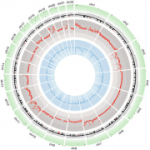 wheel-featured-final